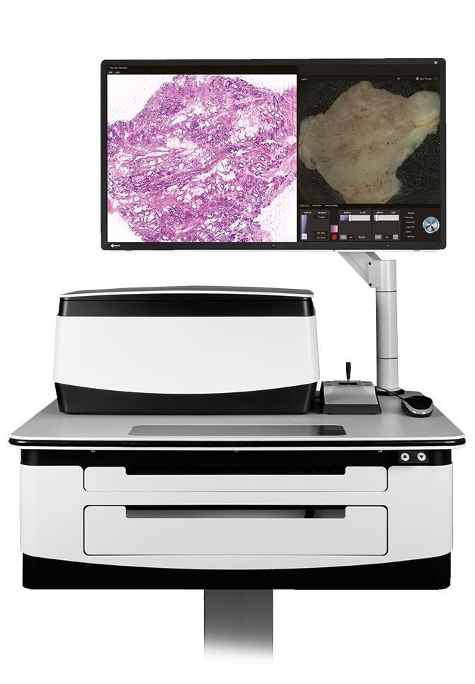 Instant Digital Pathology using VivaScope 2500 confocal microscopy